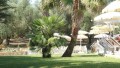 il parco/giardino con ampio solarium a bordo piscina - Hotel & Resort Le Pajare