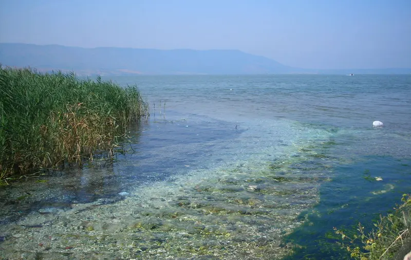 Lago di Varano, Puglia