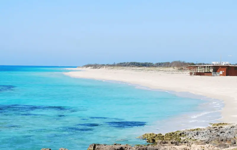 La spiaggia di Pescoluse in Puglia